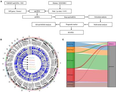 Identification of Epigenetic-Dysregulated lncRNAs Signature in Osteosarcoma by Multi-Omics Data Analysis